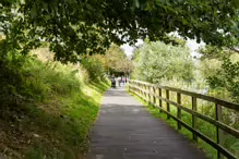 THE NEWBRIDGE SECTION OF THE LIFFEY LINEAR PARK INCLUDES A FAIRY WALK [14 AUGUST 2024]-238706-1