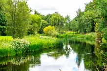 NEWBRIDGE AND THE RIVER LIFFEY [SHARE A DEEP ROOTED CONNECTION]-238523-1