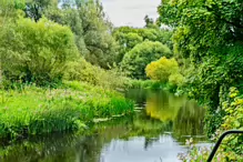 THE RIVER LIFFEY AND NEWBRIDGE