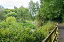 NEWBRIDGE AND THE RIVER LIFFEY [SHARE A DEEP ROOTED CONNECTION]-238529-1