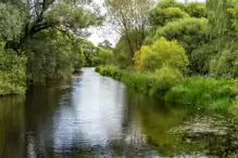 NEWBRIDGE AND THE RIVER LIFFEY [SHARE A DEEP ROOTED CONNECTION]-238530-1