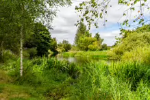 NEWBRIDGE AND THE RIVER LIFFEY [SHARE A DEEP ROOTED CONNECTION]-238535-1