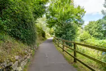 NEWBRIDGE AND THE RIVER LIFFEY [SHARE A DEEP ROOTED CONNECTION]-238539-1