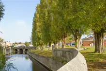 OUR LADY'S PARK [AT DRUMCONDRA BRIDGE NOW NAMED FRANK FLOOD FLOOD BRIDGE]-242297-1