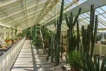 THE MANY GLASSHOUSES AT THE BOTANIC GARDENS IN DUBLIN [GLASNEVIN MAY 2013]-234476-1