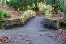 SOME OF THE BRIDGES IN BUSHY PARK [1 JANUARY 2013 WHICH WAS MY BIRTHDAY]-234878-1