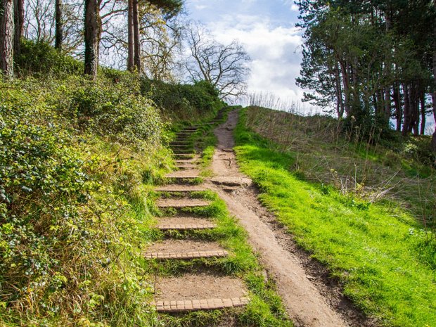 Furry Glen Up the airy mountain, in the heart of Dublin city, lies the Phoenix Park, a vast expanse of greenery and history