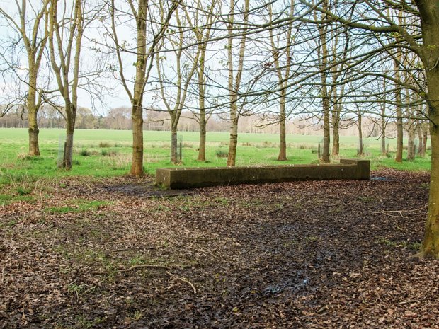 Military Road Located within Dublin's sprawling Phoenix Park, Military Road holds both historical significance and natural beauty....