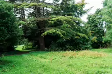 RECONFIGURED YEW CIRCLE