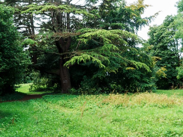 RECONFIGURED YEW CIRCLE The central circular basin, which once held a fountain and was stocked with fish, has been filled in and planted. This...