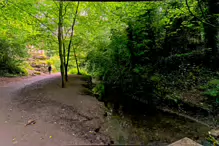 THE HERCULANEAN TEA HOUSE OR TEMPLE AT ST ANNE'S PUBLIC PARK [25 JULY 2024]-237155-1