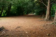 THE WOODLANDS AND THE TREES [ST ANNE'S PARK IN RAHENY]-241772-1