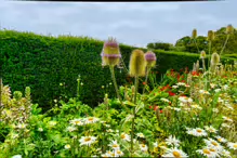 THE WALLED GARDEN AT ST ANNE'S PARK [NO ACCESS TO THE CHINESE PAVILION]-237138-1