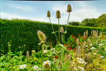 THE WALLED GARDEN AT ST ANNE'S PARK [NO ACCESS TO THE CHINESE PAVILION]-237139-1