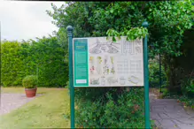 THE WALLED GARDEN AT ST ANNE'S PARK [NO ACCESS TO THE CHINESE PAVILION]-237141-1