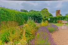 THE WALLED GARDEN AT ST ANNE'S PARK [NO ACCESS TO THE CHINESE PAVILION]-237152-1