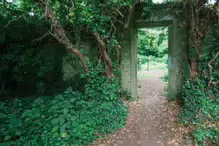 I FOUND IT DIFFICULT TO PROPERLY PHOTOGRAPH THE WOODED AREAS [ST ANNES PARK JULY 2024]-237345-1