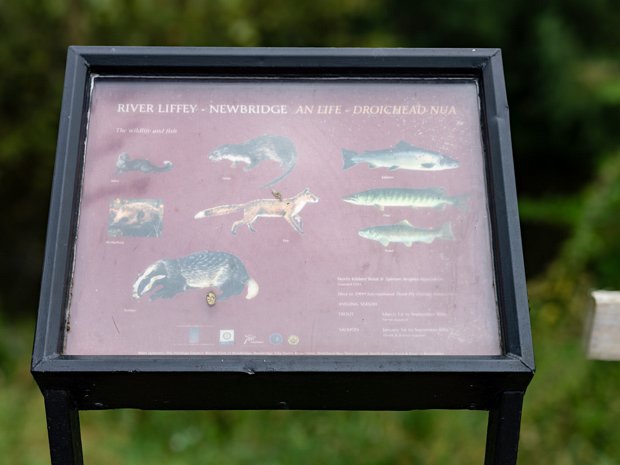 LIFFEY LINEAR PARK The section of the Liffey Linear Park at Newbridge offers a delightful escape into nature, right on the doorstep of the...