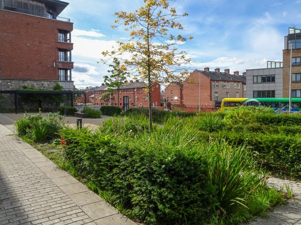 ST LUKE'S AVENUE In recent years, Dublin City Council has undertaken a number of improvements to the public realm around the former St....