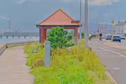 BUS SHELTER 1725 AT DOYLE'S LANE [A HAVEN IN THE RAIN FOR MYSELF AND TWO PASSING DOGS]-237261-1