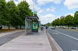 BUS STOP 2068 [STILLORGAN ROAD]-238484-1