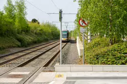 CABRA TRAM STOP [BESIDE MOUNT BERNARD PUBLIC PARK]-232259-1