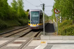 CABRA TRAM STOP [BESIDE MOUNT BERNARD PUBLIC PARK]-232260-1