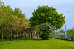 CABRA TRAM STOP [BESIDE MOUNT BERNARD PUBLIC PARK]-232266-1