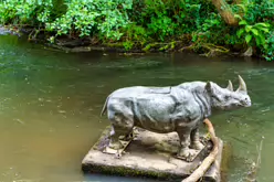 A LONELY RHINO IN THE DODDER [BEHIND THE DROPPING WELL PUB]-239110-1