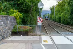 MILLTOWN LUAS TRAM STOP [FRIDAY 23 AUGUST 2024]-239121-1