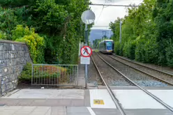 MILLTOWN LUAS TRAM STOP [FRIDAY 23 AUGUST 2024]-239124-1