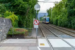 MILLTOWN LUAS TRAM STOP [FRIDAY 23 AUGUST 2024]-239125-1