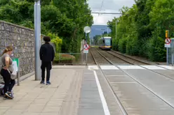 MILLTOWN LUAS TRAM STOP [FRIDAY 23 AUGUST 2024]-239133-1