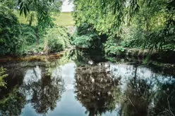 THE RIVER DODDER AND PACKHORSE BRIDGE [MILLTOWN ROAD IN CLONSKEAGH]-220357-1