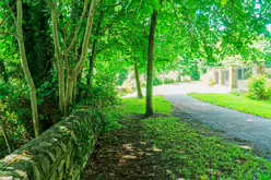 THE RIVER DODDER AND PACKHORSE BRIDGE [MILLTOWN ROAD IN CLONSKEAGH]-220358-1