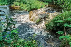 THE RIVER DODDER AND PACKHORSE BRIDGE [MILLTOWN ROAD IN CLONSKEAGH]-220362-1