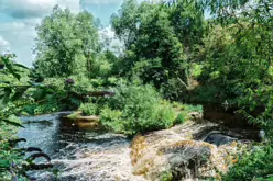 THE RIVER DODDER AND PACKHORSE BRIDGE [MILLTOWN ROAD IN CLONSKEAGH]-220363-1