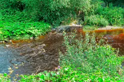 THE RIVER DODDER AND PACKHORSE BRIDGE [MILLTOWN ROAD IN CLONSKEAGH]-220366-1