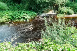 THE RIVER DODDER AND PACKHORSE BRIDGE [MILLTOWN ROAD IN CLONSKEAGH]-220367-1