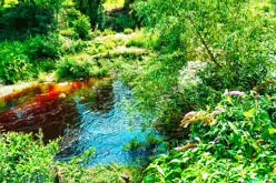 THE RIVER DODDER AND PACKHORSE BRIDGE [MILLTOWN ROAD IN CLONSKEAGH]-220368-1