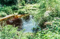 THE RIVER DODDER AND PACKHORSE BRIDGE [MILLTOWN ROAD IN CLONSKEAGH]-220369-1