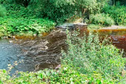 THE RIVER DODDER AND PACKHORSE BRIDGE [MILLTOWN ROAD IN CLONSKEAGH]-220370-1