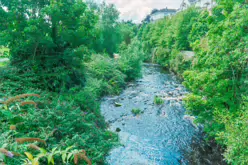 THE RIVER DODDER AND PACKHORSE BRIDGE [MILLTOWN ROAD IN CLONSKEAGH]-220377-1