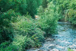 THE RIVER DODDER AND PACKHORSE BRIDGE [MILLTOWN ROAD IN CLONSKEAGH]-220379-1