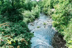 THE RIVER DODDER AND PACKHORSE BRIDGE [MILLTOWN ROAD IN CLONSKEAGH]-220380-1