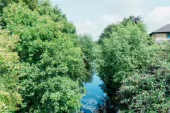 THE RIVER DODDER AND PACKHORSE BRIDGE [MILLTOWN ROAD IN CLONSKEAGH]-220381-1