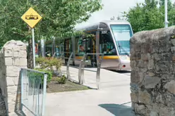 MILLTOWN LUAS TRAM STOP [25 JULY 2023]-220325-1