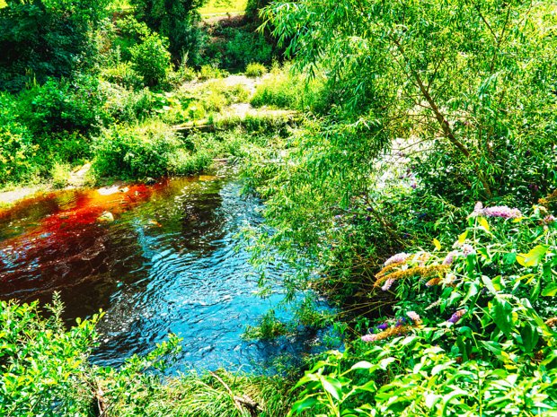 PACKHORSE BRIDGE