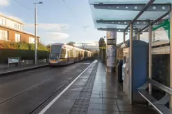 WINDY ARBOUR TRAM STOP [17 DECEMBER 2022]-212208-1