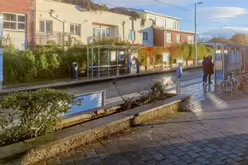 WINDY ARBOUR TRAM STOP [17 DECEMBER 2022]-212212-1